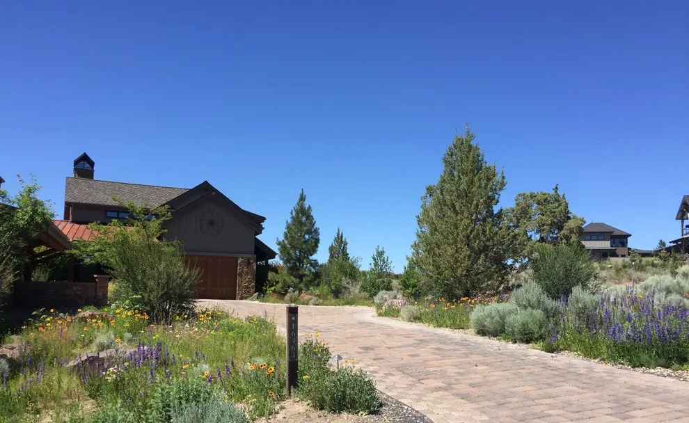 Brasada Retreat by Heart Springs Landscape Design, LLC - Photo 11