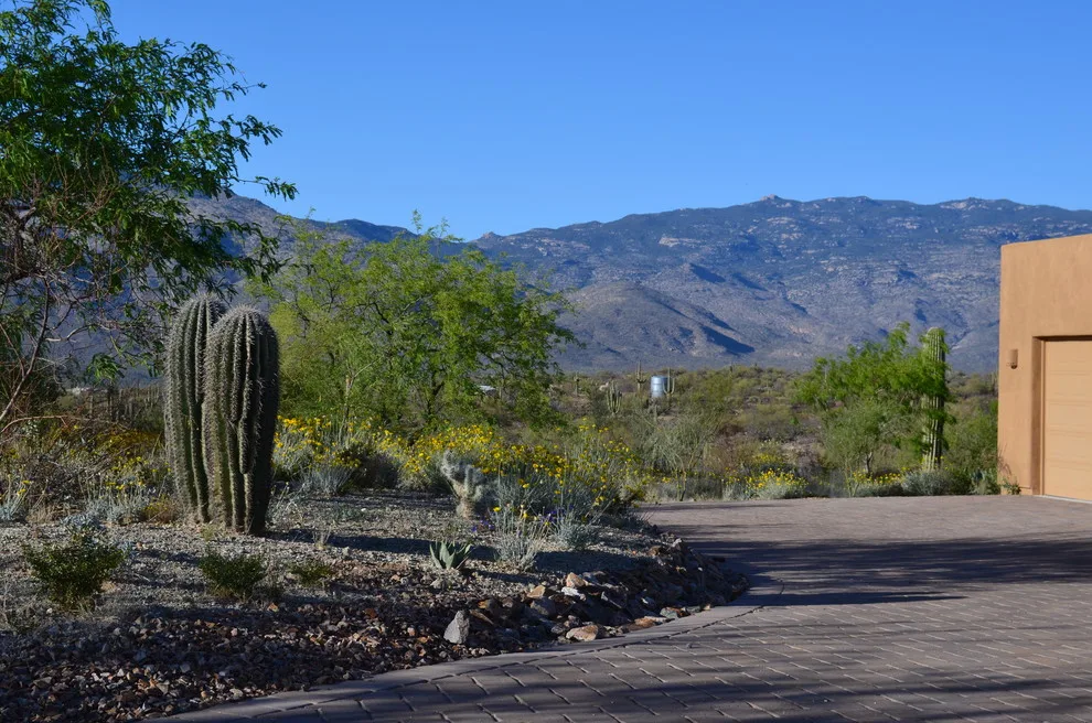 Vail - Arizona Route by Landscape Design West, LLC - Photo 30