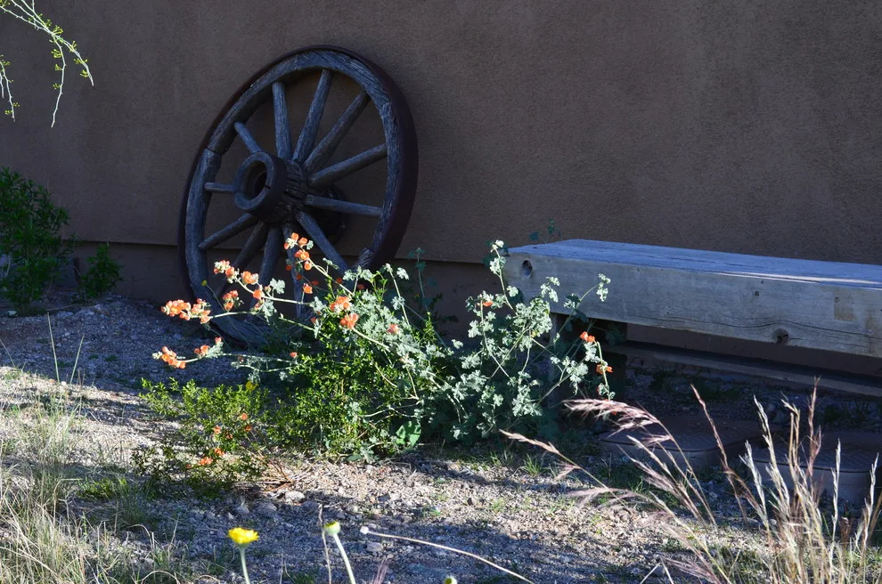 Vail - Arizona Route by Landscape Design West, LLC - Photo 39