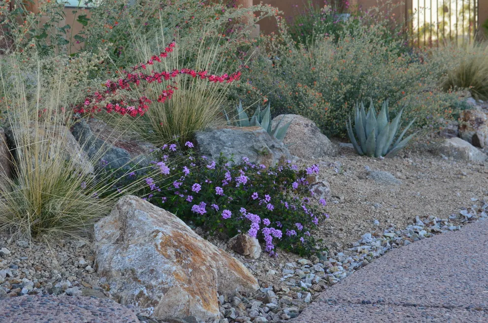 Vail - Arizona Route by Landscape Design West, LLC - Photo 24