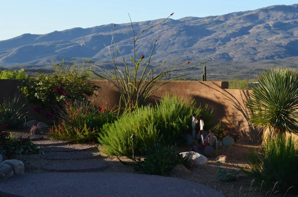 Vail - Arizona Route by Landscape Design West, LLC - Photo 2