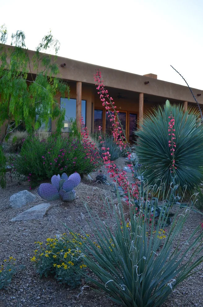 Vail - Arizona Route by Landscape Design West, LLC - Photo 10