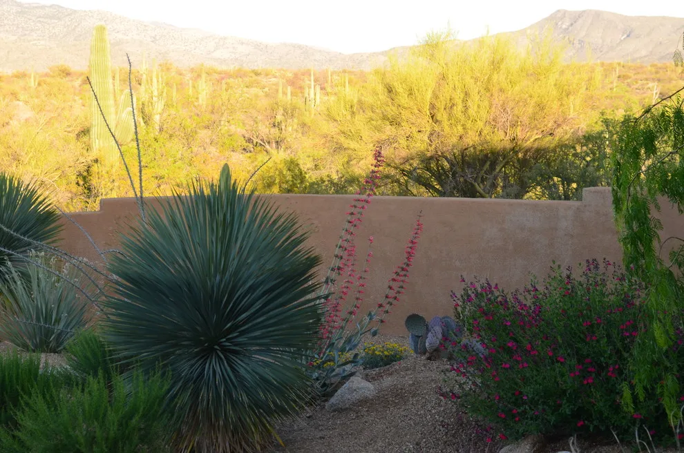 Vail - Arizona Route by Landscape Design West, LLC - Photo 21