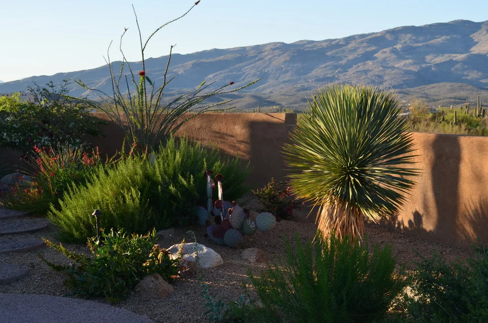 Vail - Arizona Route by Landscape Design West, LLC - Photo 8