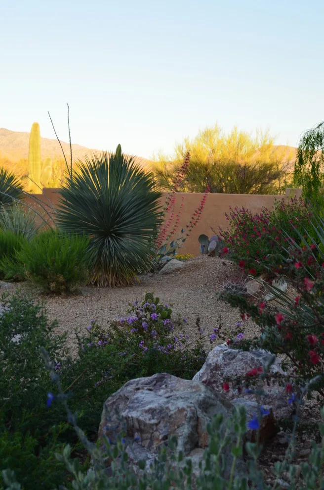 Vail - Arizona Route by Landscape Design West, LLC - Photo 18