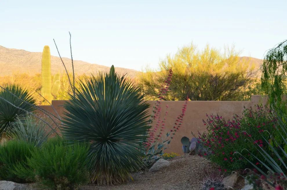 Vail - Arizona Route by Landscape Design West, LLC - Photo 28