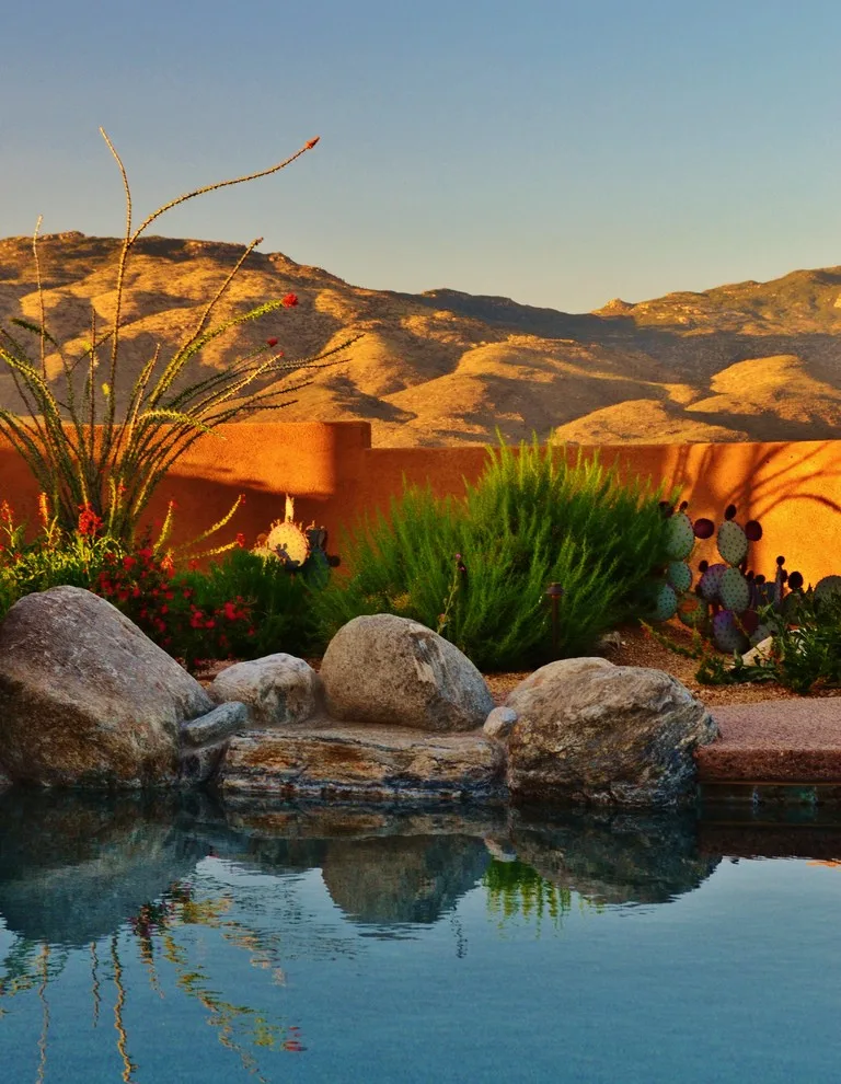 Vail - Arizona Route by Landscape Design West, LLC - Photo 14
