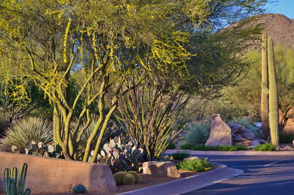 Landscape Design West, LLC - Photo 9