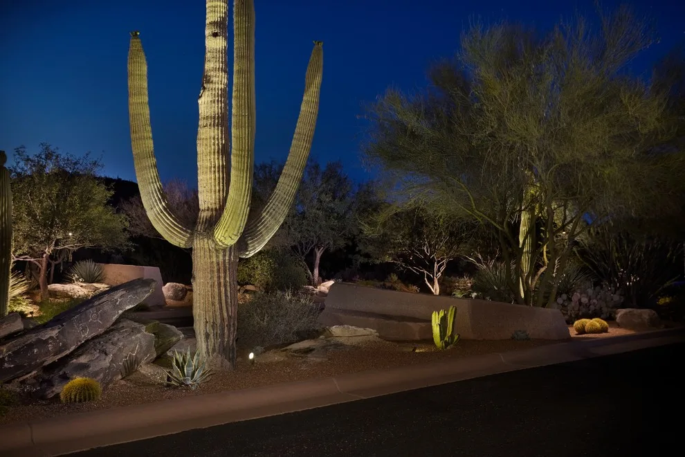 Dove Mountain Canyon Pass by Landscape Design West, LLC - Photo 12