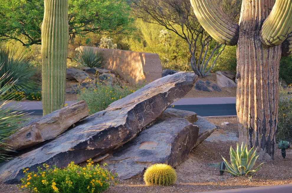 Dove Mountain Canyon Pass by Landscape Design West, LLC - Photo 9