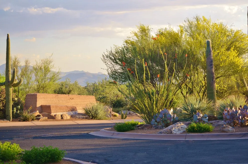 Dove Mountain Canyon Pass by Landscape Design West, LLC - Photo 3