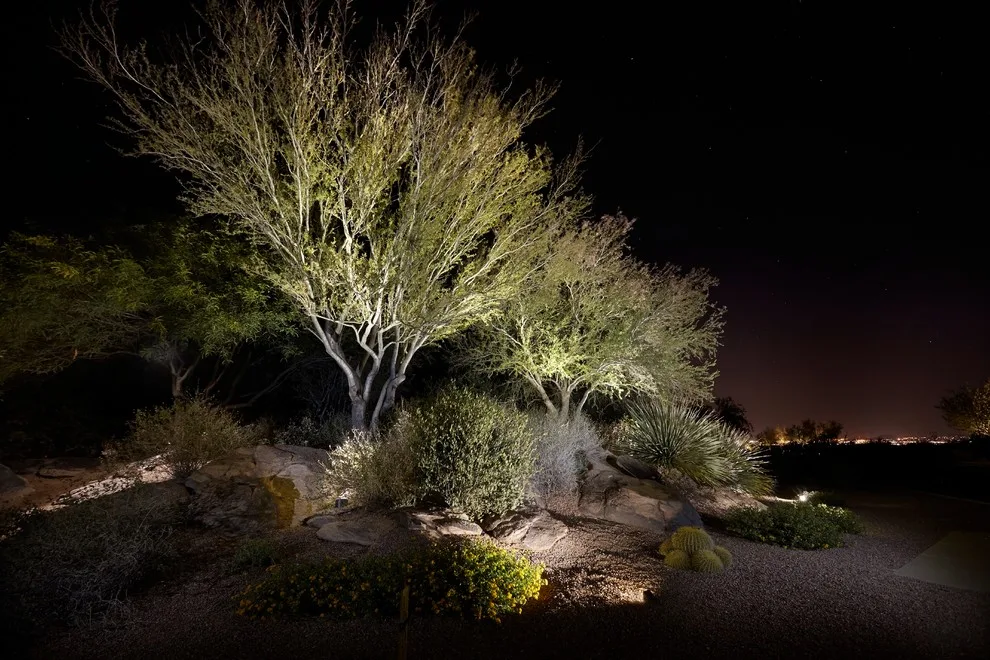 Dove Mountain Canyon Pass by Landscape Design West, LLC - Photo 8