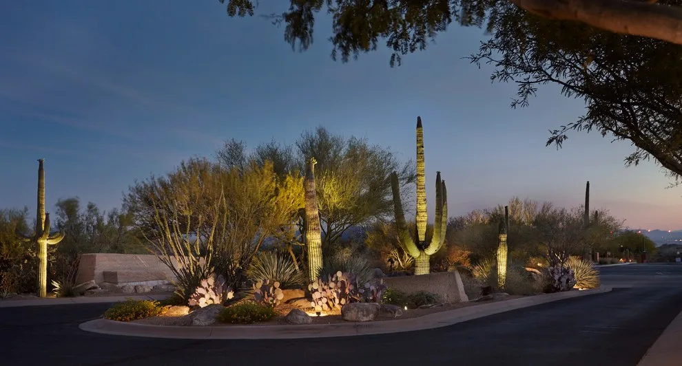 Dove Mountain Canyon Pass by Landscape Design West, LLC - Photo 15