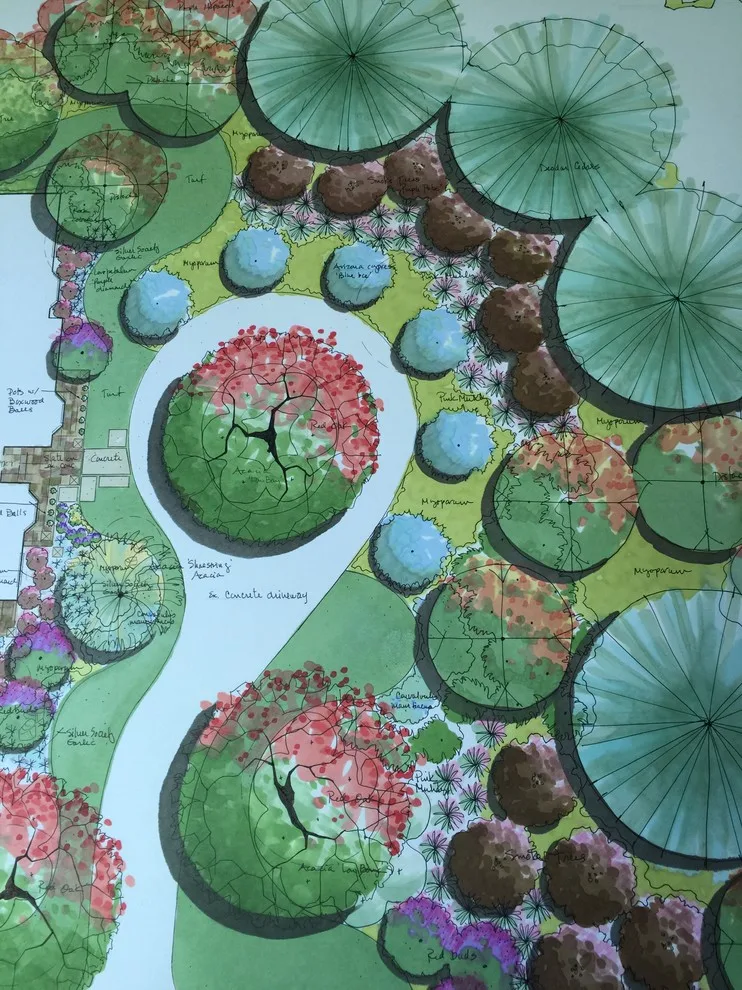 Tinted Blueprints by Biomirage Landscape, Pool & Garden Design - Photo 4
