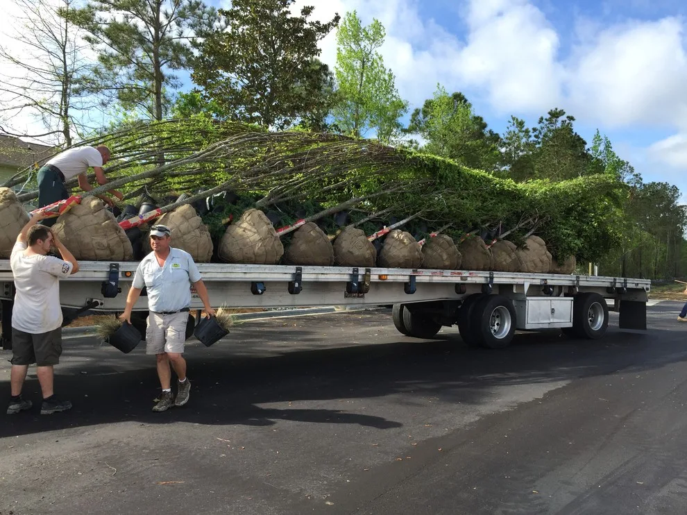 Swansboro - Business Landscaping by Yardworks, Inc. - Photo 14