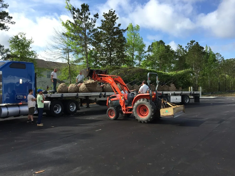 Swansboro - Business Landscaping by Yardworks, Inc. - Photo 9