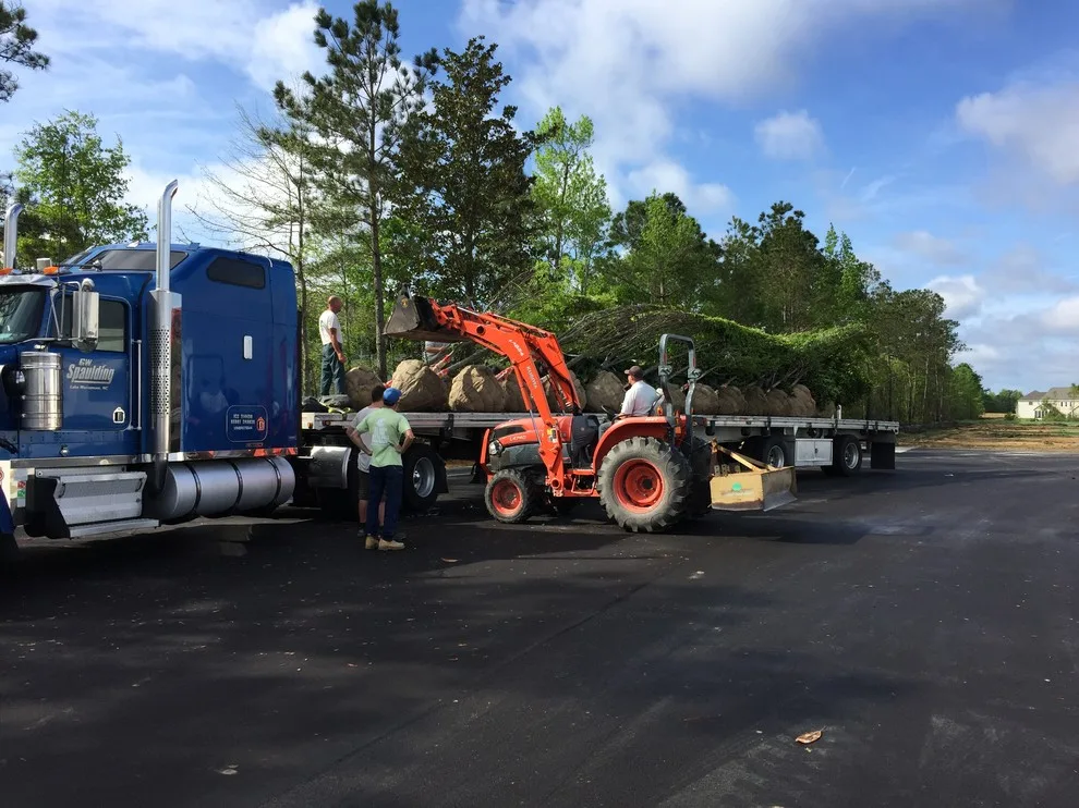 Swansboro - Business Landscaping by Yardworks, Inc. - Photo 4