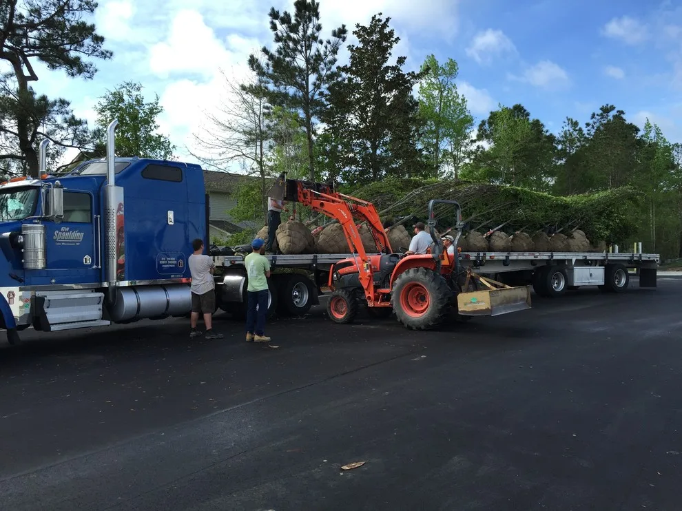 Yardworks, Inc. - Photo 14