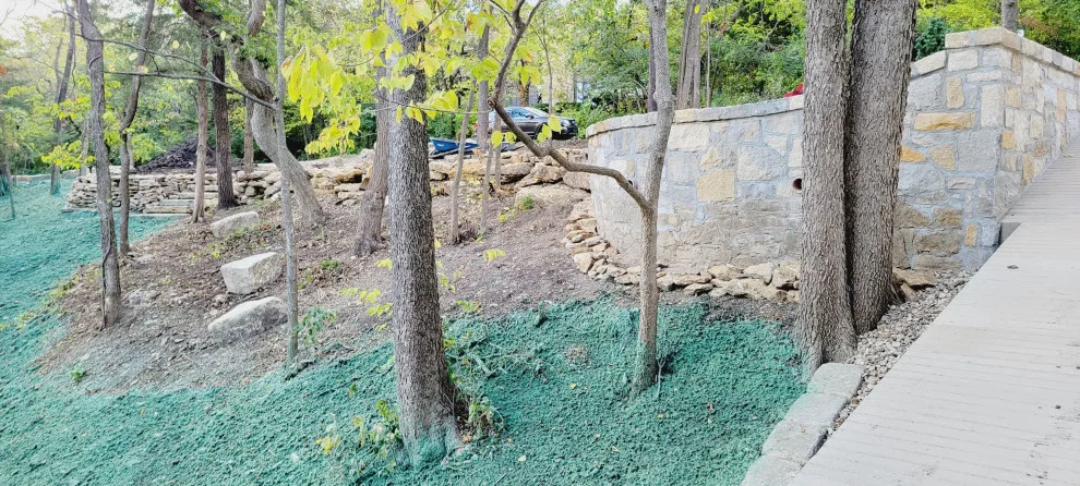 Forest Rehabilitation by Creative Outdoor Spaces - Photo 18