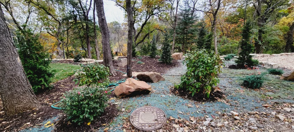 Forest Rehabilitation by Creative Outdoor Spaces - Photo 32