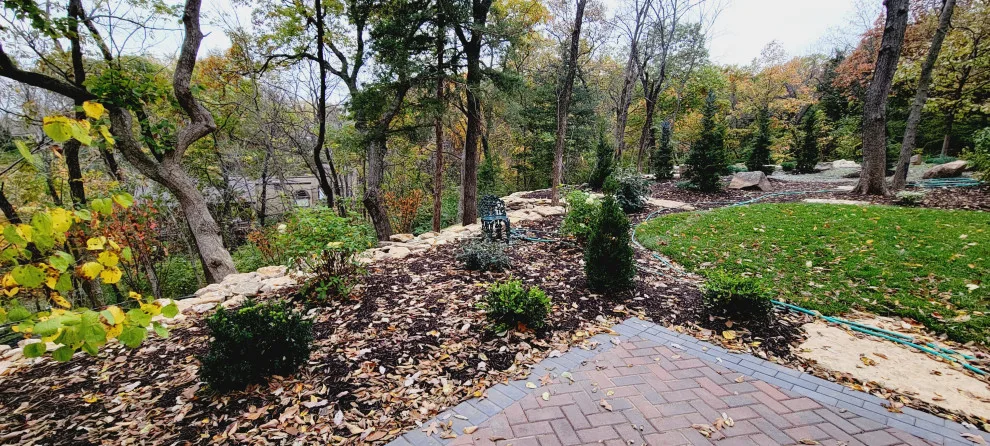Forest Rehabilitation by Creative Outdoor Spaces - Photo 4