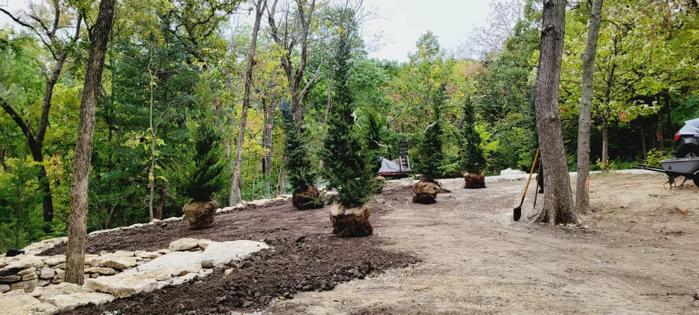 Forest Rehabilitation by Creative Outdoor Spaces - Photo 5