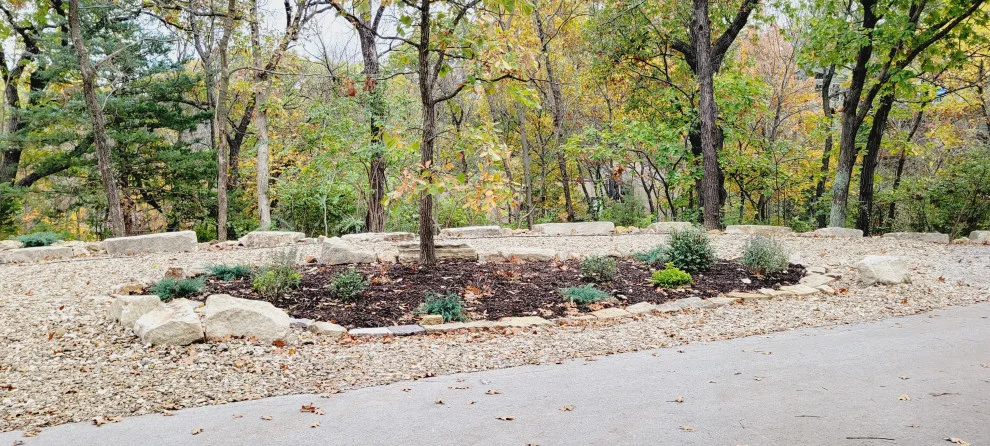 Forest Rehabilitation by Creative Outdoor Spaces - Photo 2