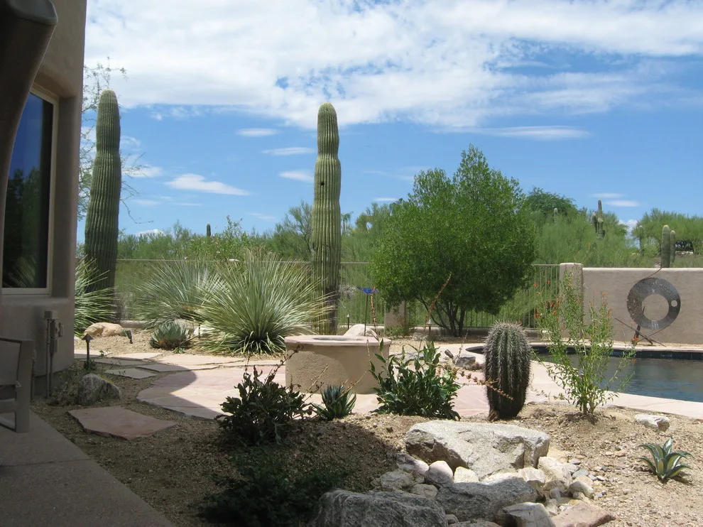 MODERN ART by Landscape Design West, LLC - Photo 3