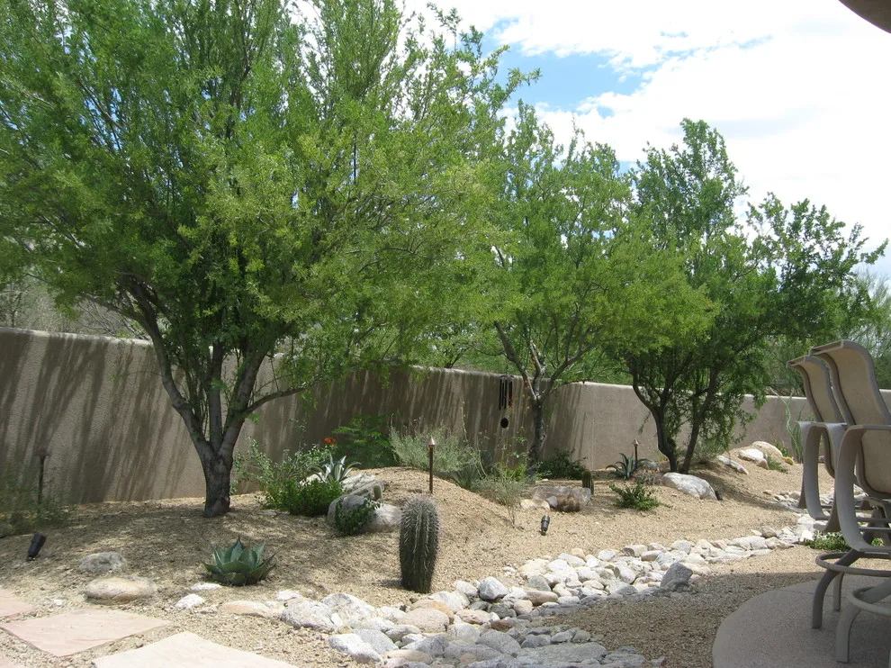 MODERN ART by Landscape Design West, LLC - Photo 6