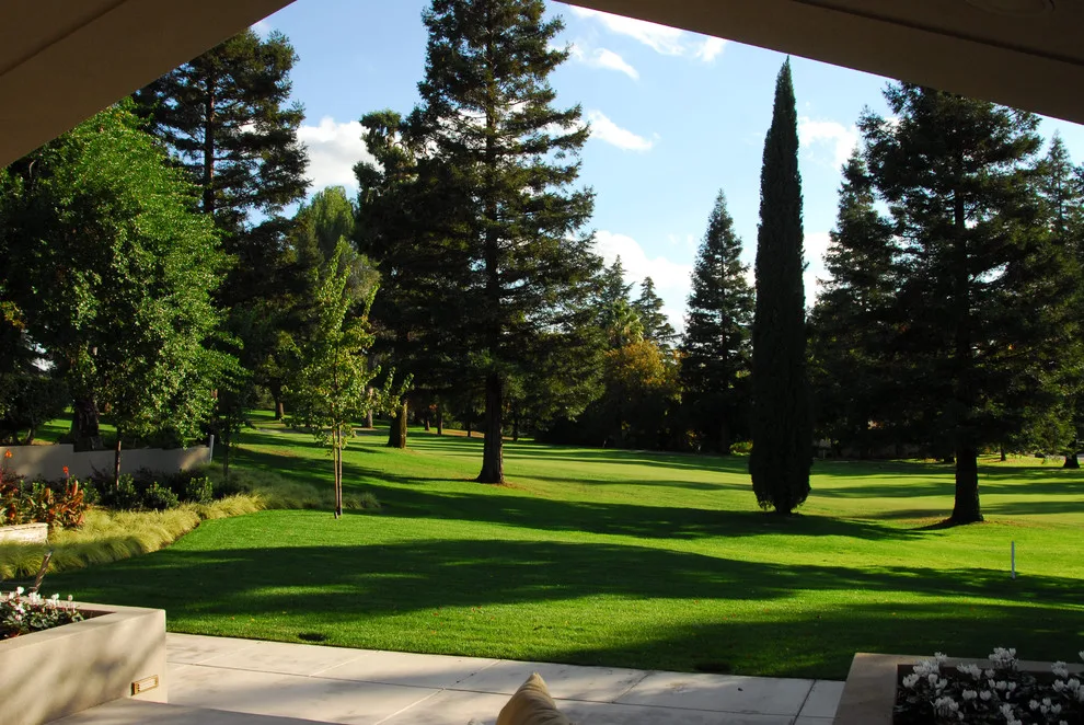 Modern Outdoor Space Transformation by Westfall Design Studio - Photo 7