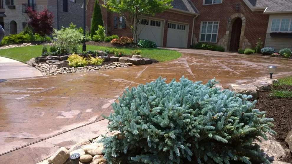 Drive-WAY Improved by Carex Design Group - Photo 3
