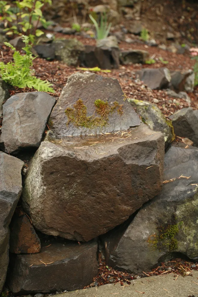 Escapes - Landscape Architecture + Construction - Photo 2