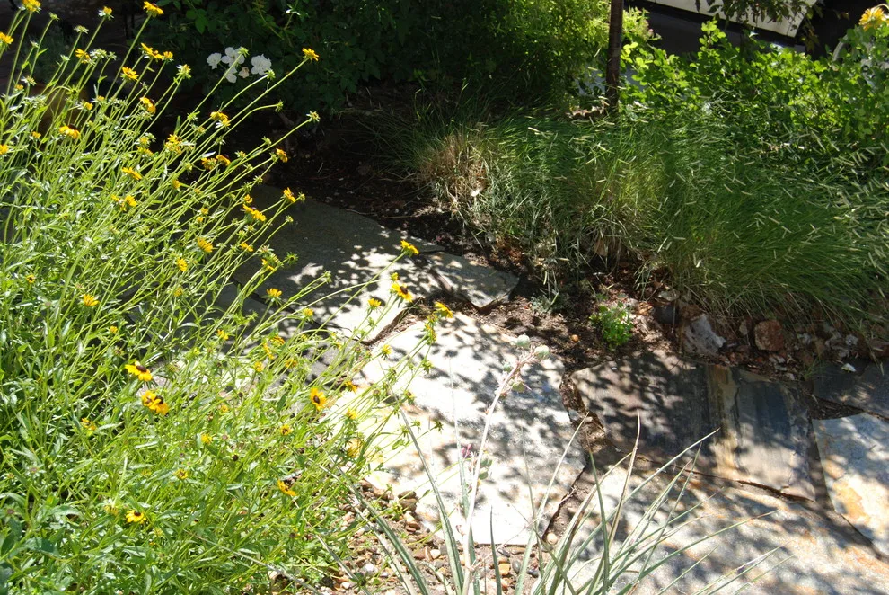 John L'Etoile Landscape Architecture - Photo 10