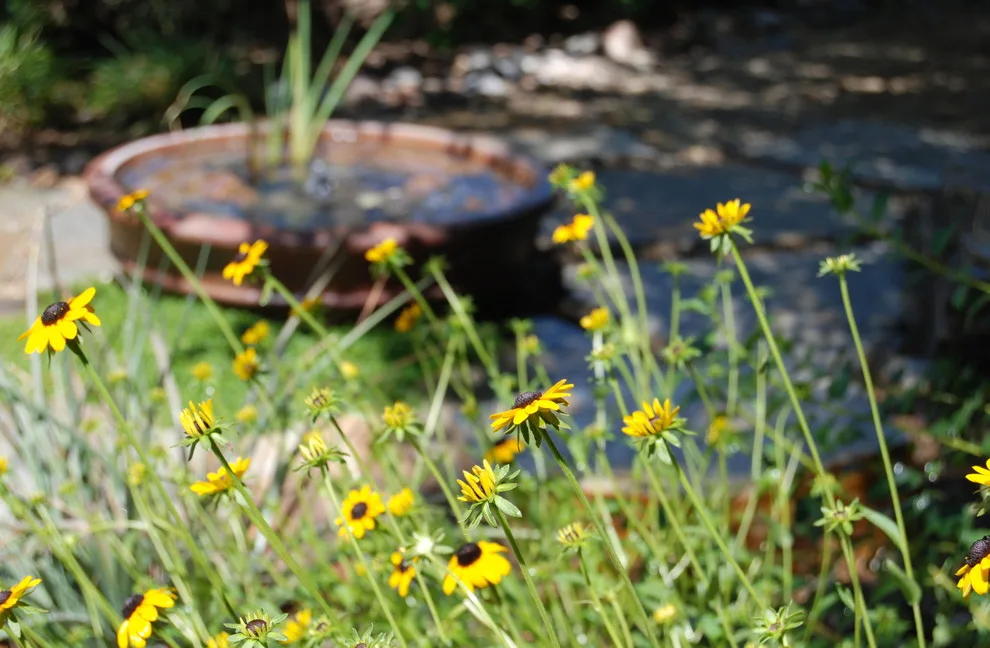 Sample Instances by John L'Etoile Landscape Architecture - Photo 7