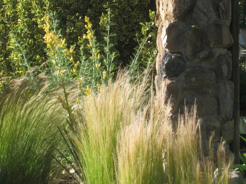 Sample Instances by John L'Etoile Landscape Architecture - Photo 11