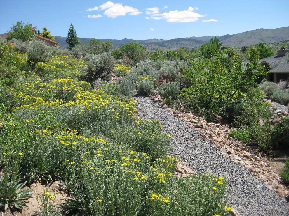 Sample Instances by John L'Etoile Landscape Architecture - Photo 12