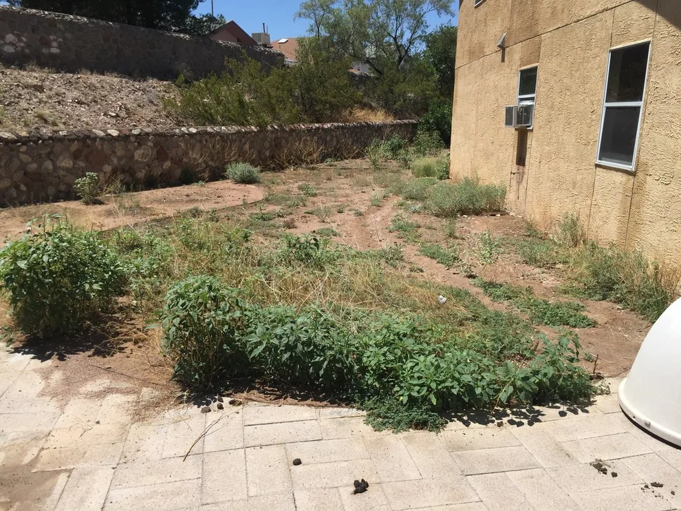 Fireside 79912 by Abescape Landscaping & Irrigation - Photo 12