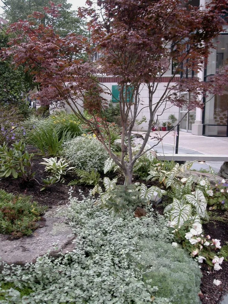 Forbes Hospice in Pittsburgh, Pennsylvania by Mark McKenzie - Photo 8