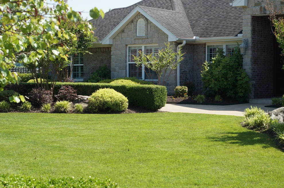 Pinnacle Turf LLC - Photo 8
