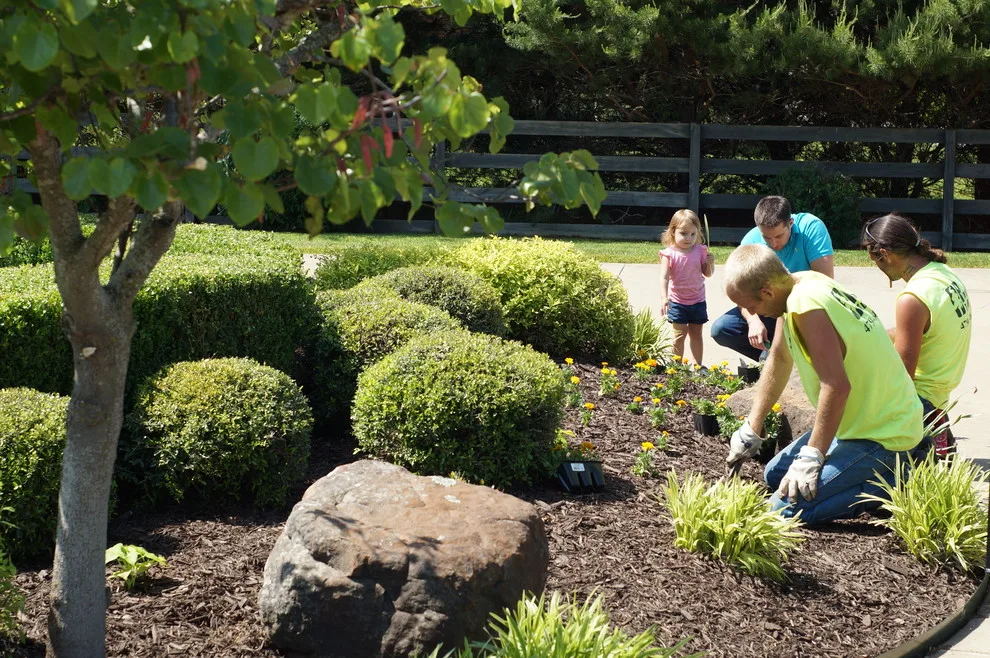 Pinnacle Turf LLC - Photo 4