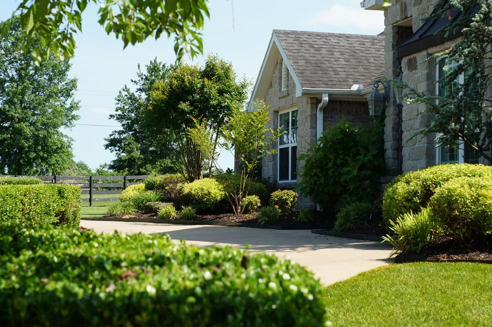 Pinnacle Turf LLC - Photo 6