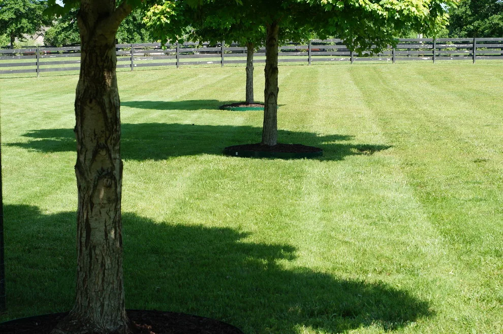 Pinnacle Turf LLC - Photo 9