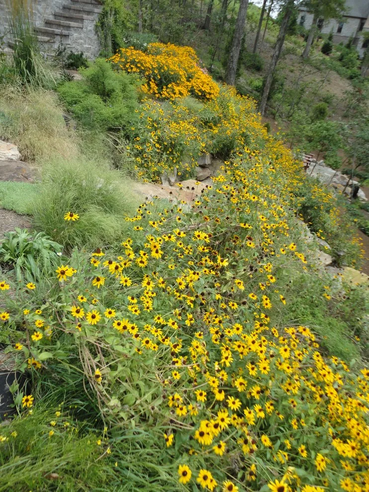 Eco-Friendly Landscape Designs by Wildwood Land Design - Photo 9
