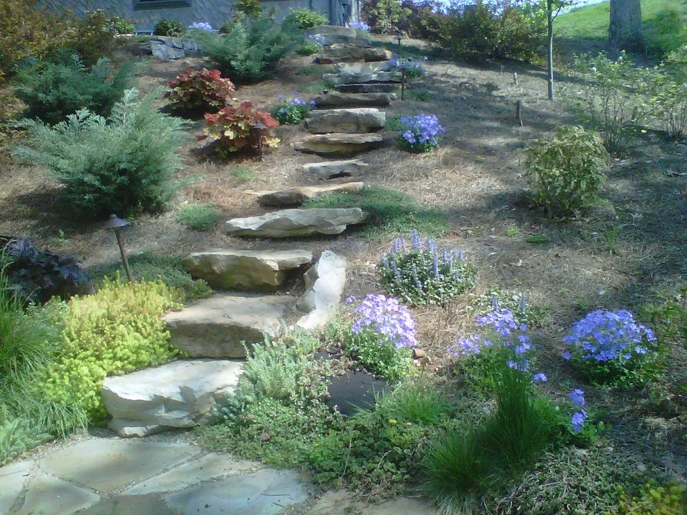 Eco-Friendly Landscape Designs by Wildwood Land Design - Photo 3