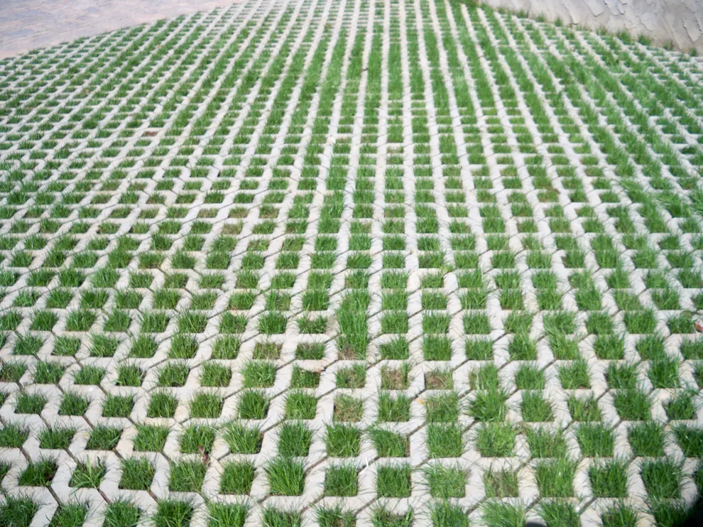 Eco-Friendly Landscape Designs by Wildwood Land Design - Photo 4