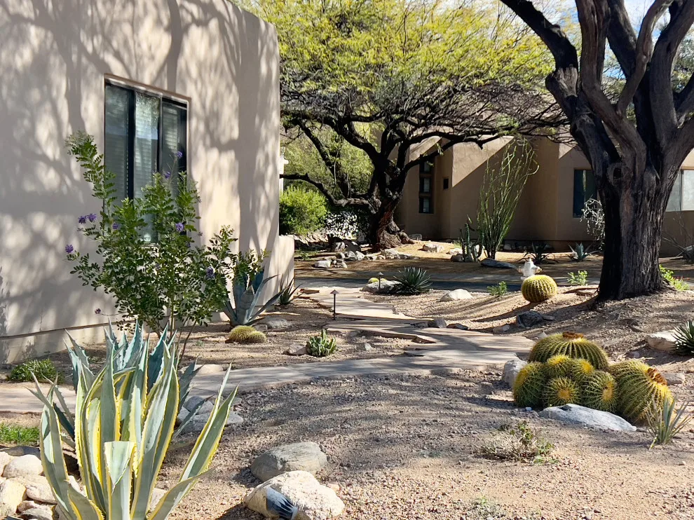 Gucci Oasis by Landscape Design West, LLC - Photo 3
