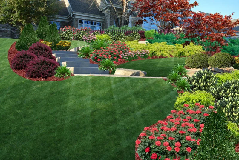 Residential Showcase Presentation by Promier Landscapes - Photo 7