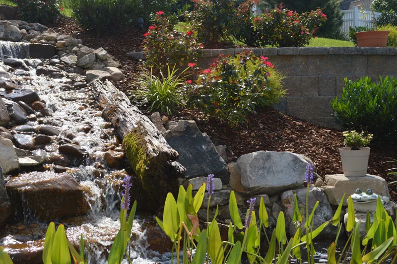 Residential Showcase Presentation by Promier Landscapes - Photo 54