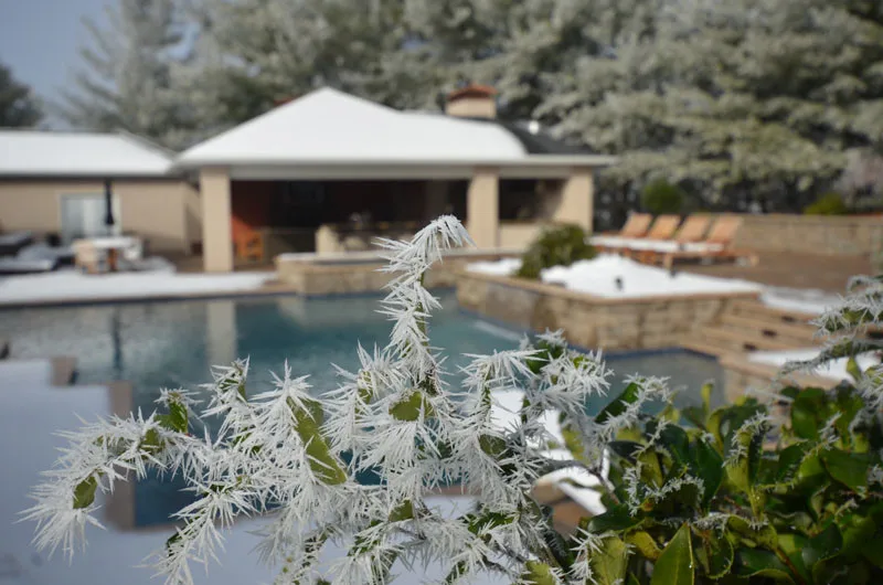 Residential Showcase Presentation by Promier Landscapes - Photo 65