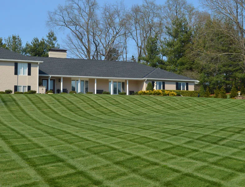 Residential Showcase Presentation by Promier Landscapes - Photo 47